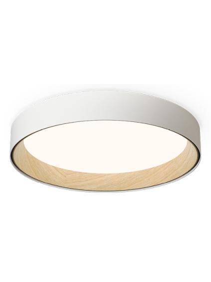 Duo 4872 led ceiling lamp