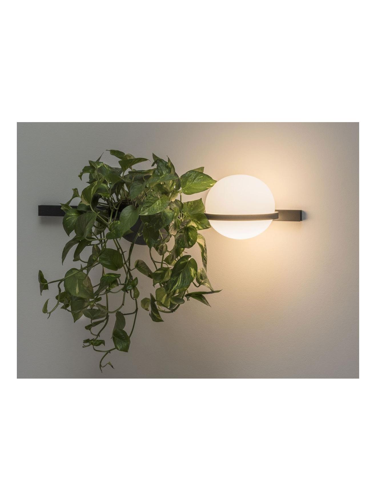 Palma 3702 Wall Lamp