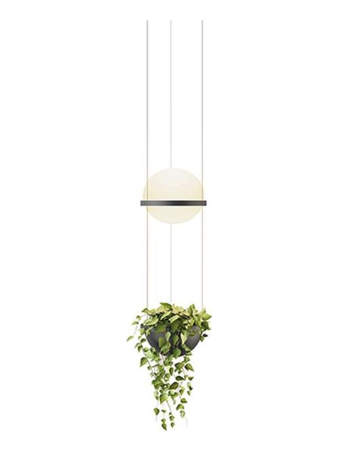 Palma 3724 Suspension Lamp