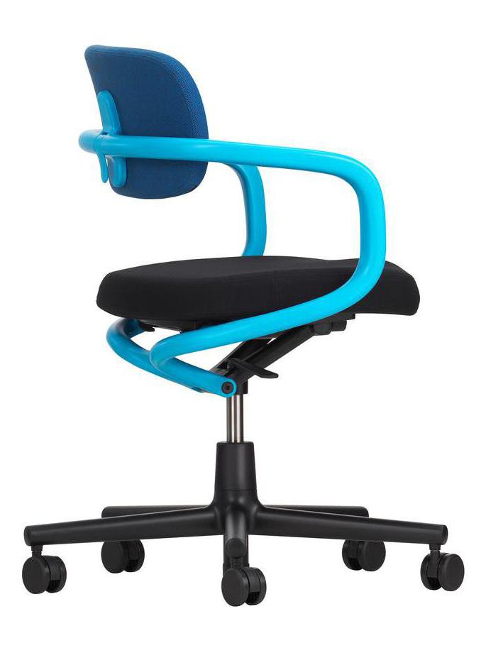 https://objectstorage.ap-seoul-1.oraclecloud.com/n/cnk6gaix2gpw/b/loqoqo-conv/o/vitra/allstar-office-swivel-chair/ade54540-31b6-4bcb-91c0-0b0692710ed9.jpg