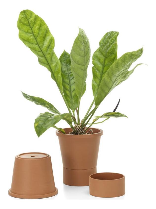 https://objectstorage.ap-seoul-1.oraclecloud.com/n/cnk6gaix2gpw/b/loqoqo-conv/o/vitra/terracotta-pot-l/terracotta-pot-l-vaso.jpg