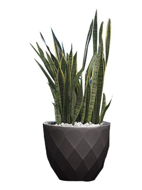 Vases macetero Aigua Small