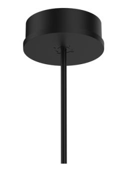 single ceiling rose for Shiek