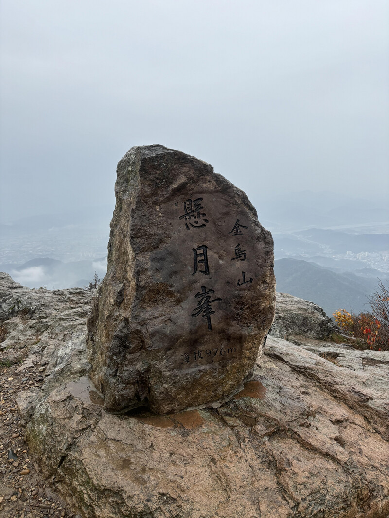 감나무 한방백숙 삼계탕