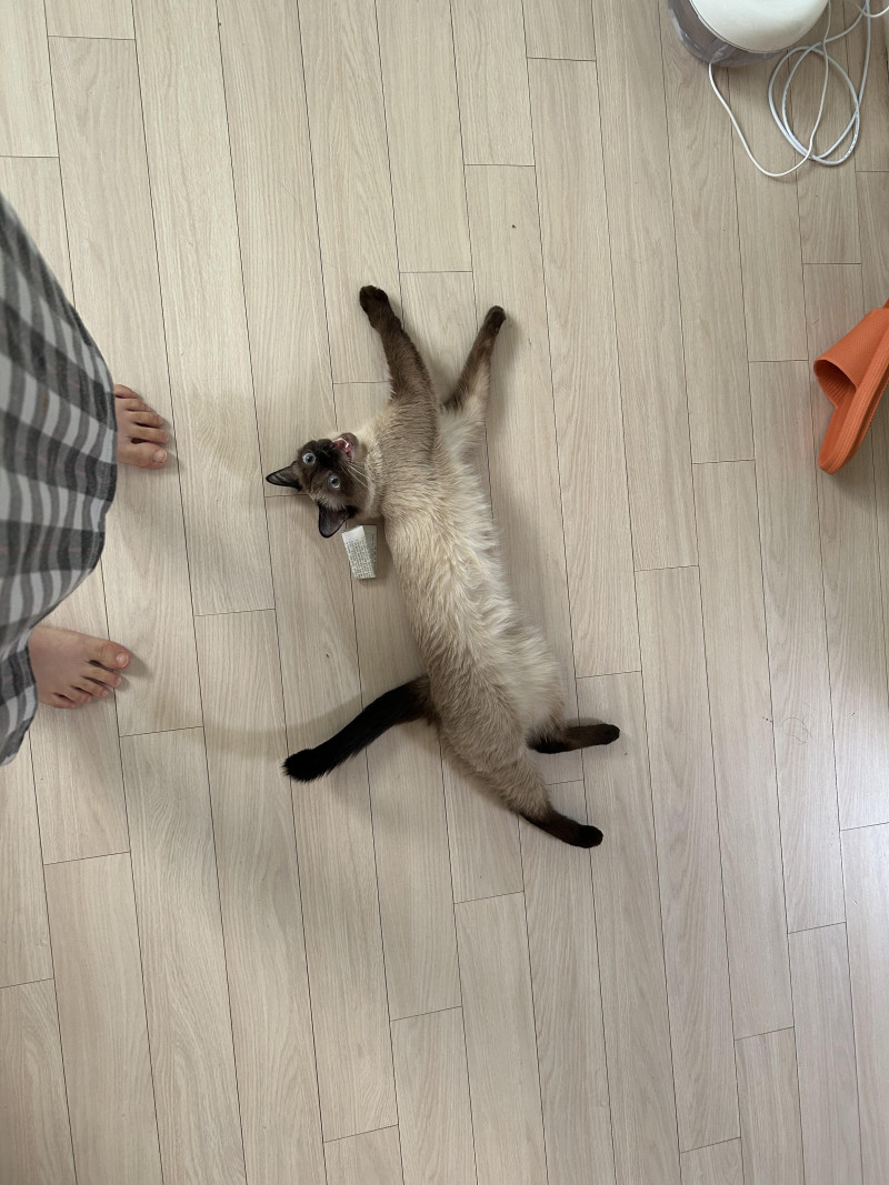 프로필