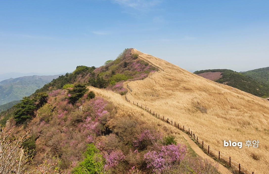 화왕산