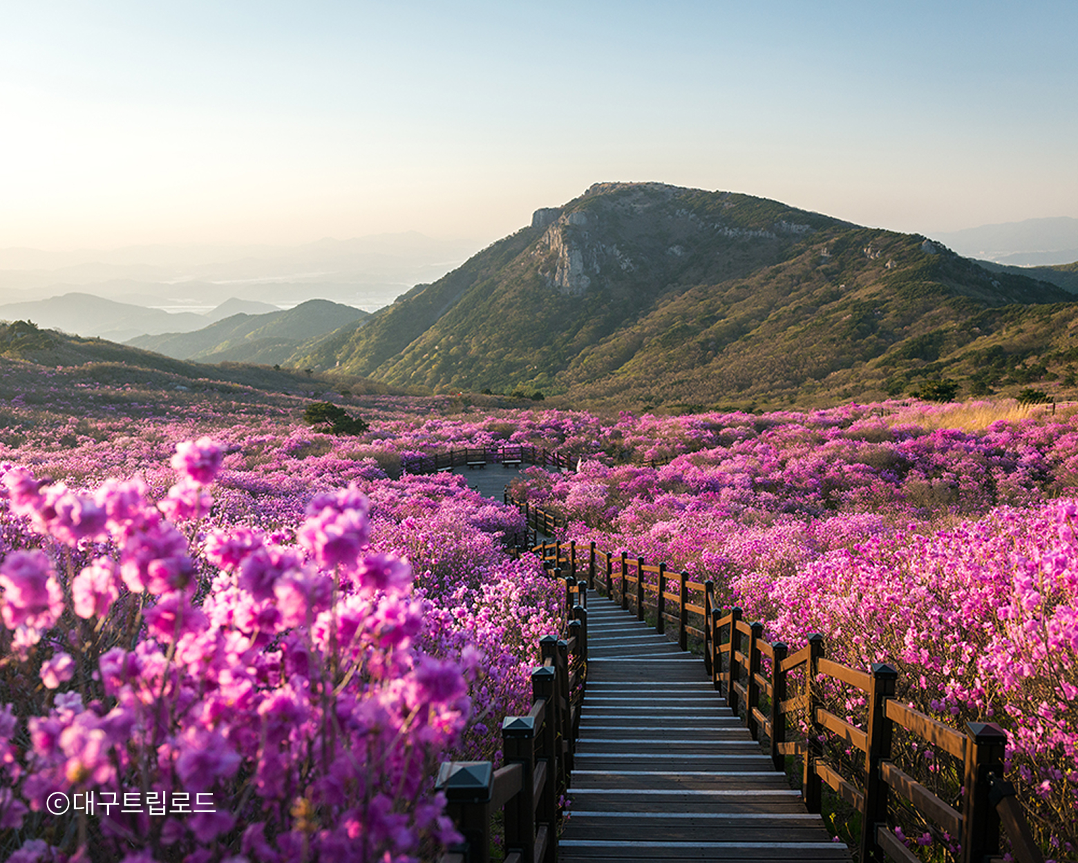자연휴양림 코스