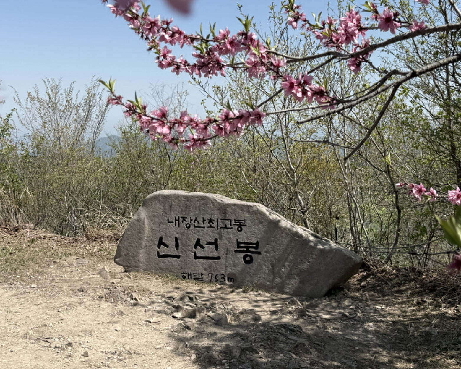 신선봉 코스