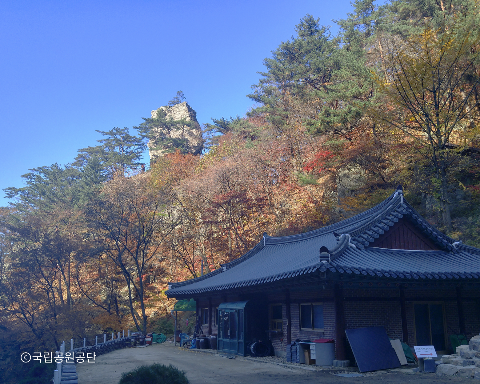 황골 코스