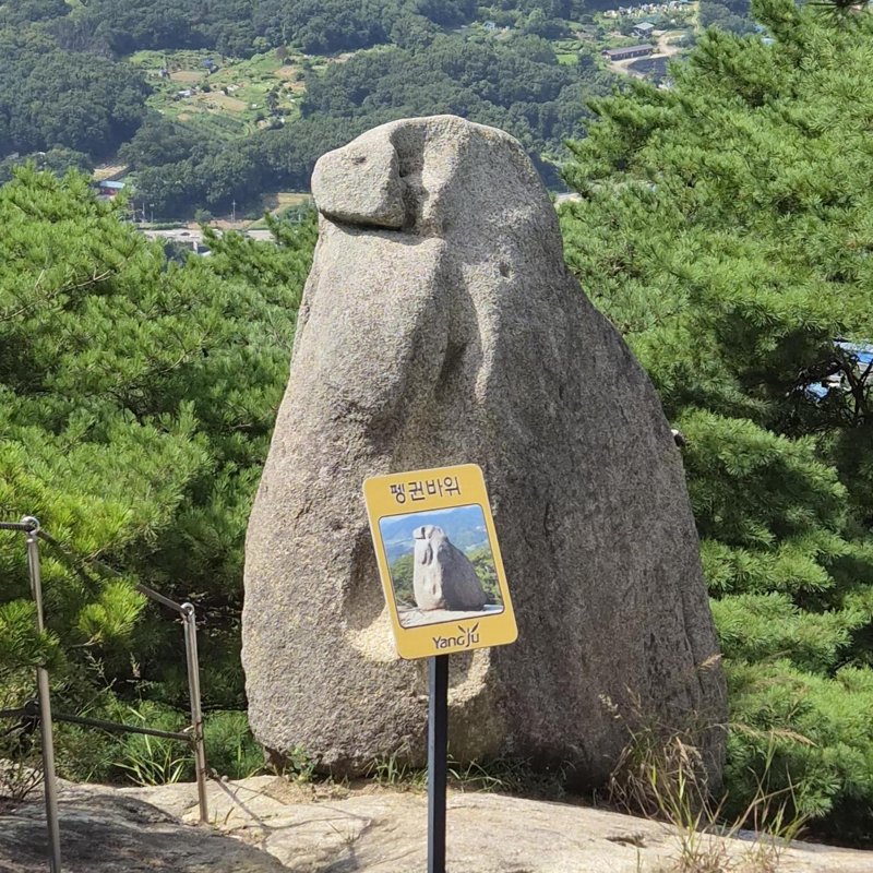 펭귄바위