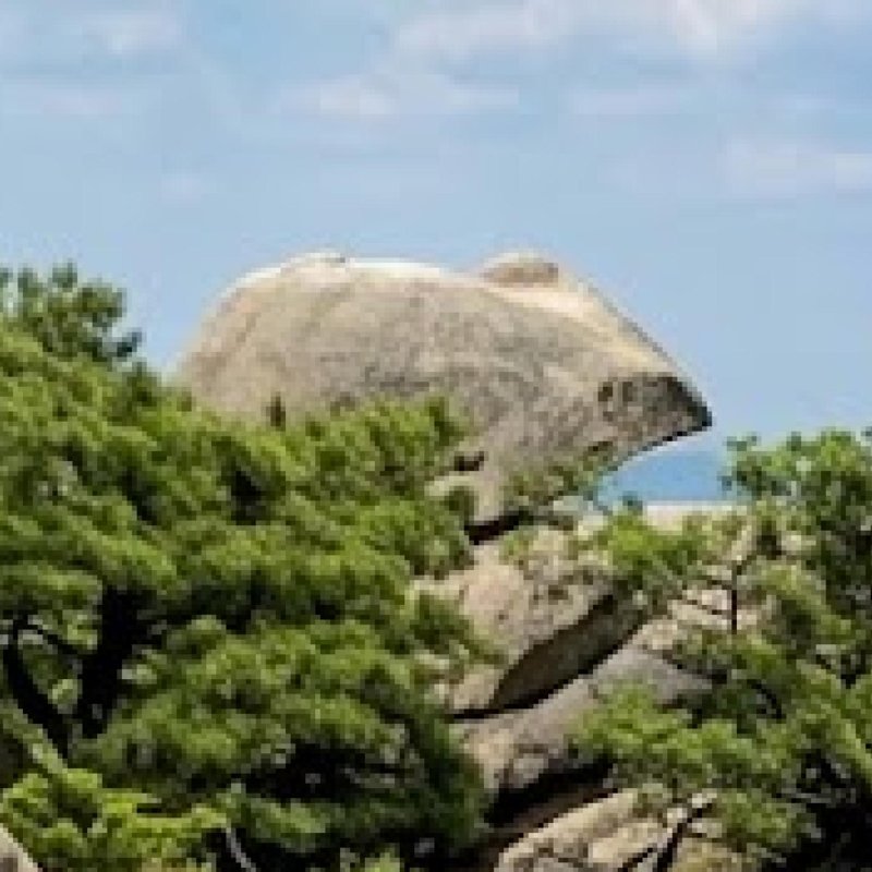 생쥐바위