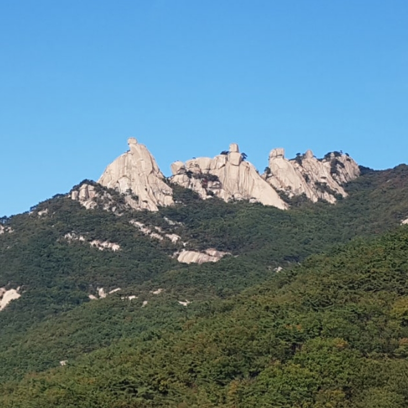 오봉 포토스팟