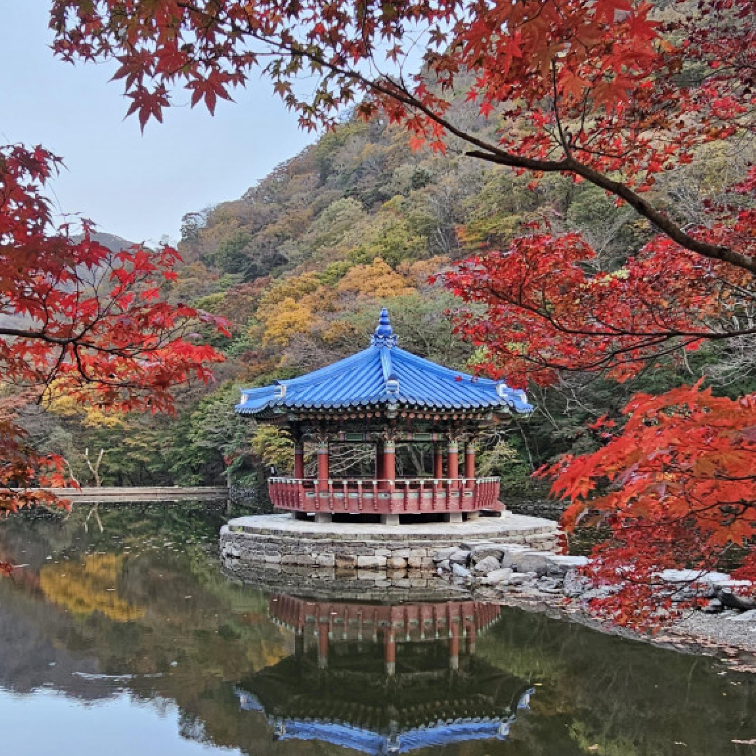 우화정