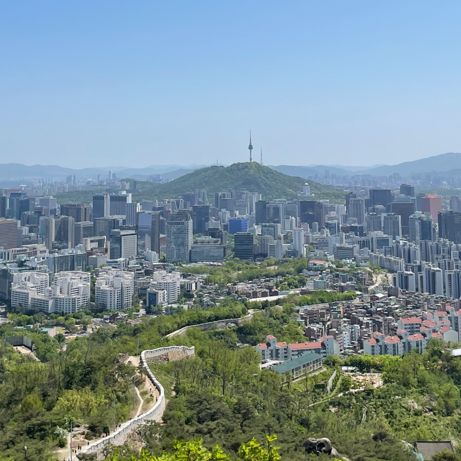 전망대