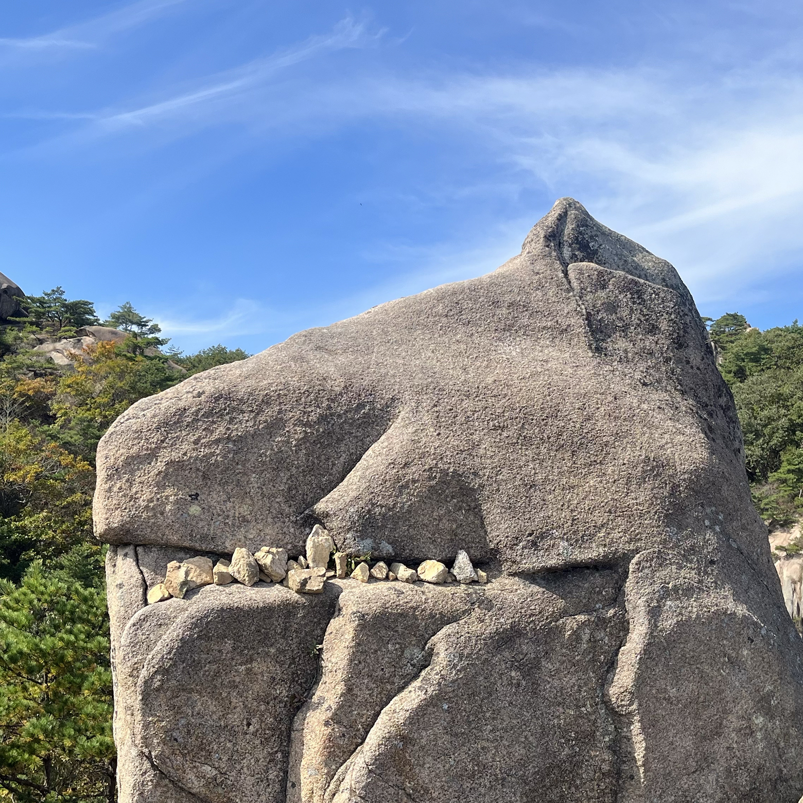 공룡 바위