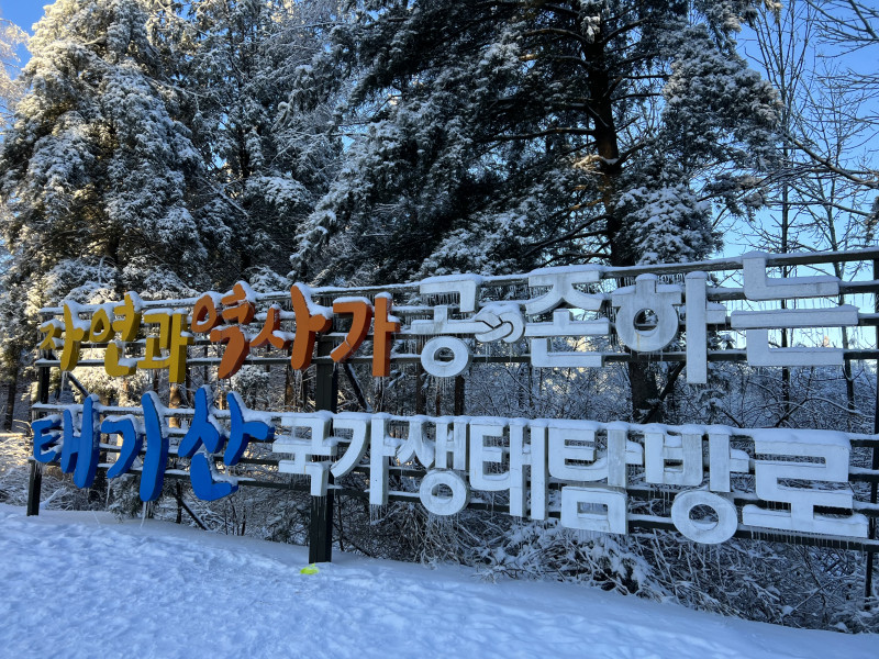 소식