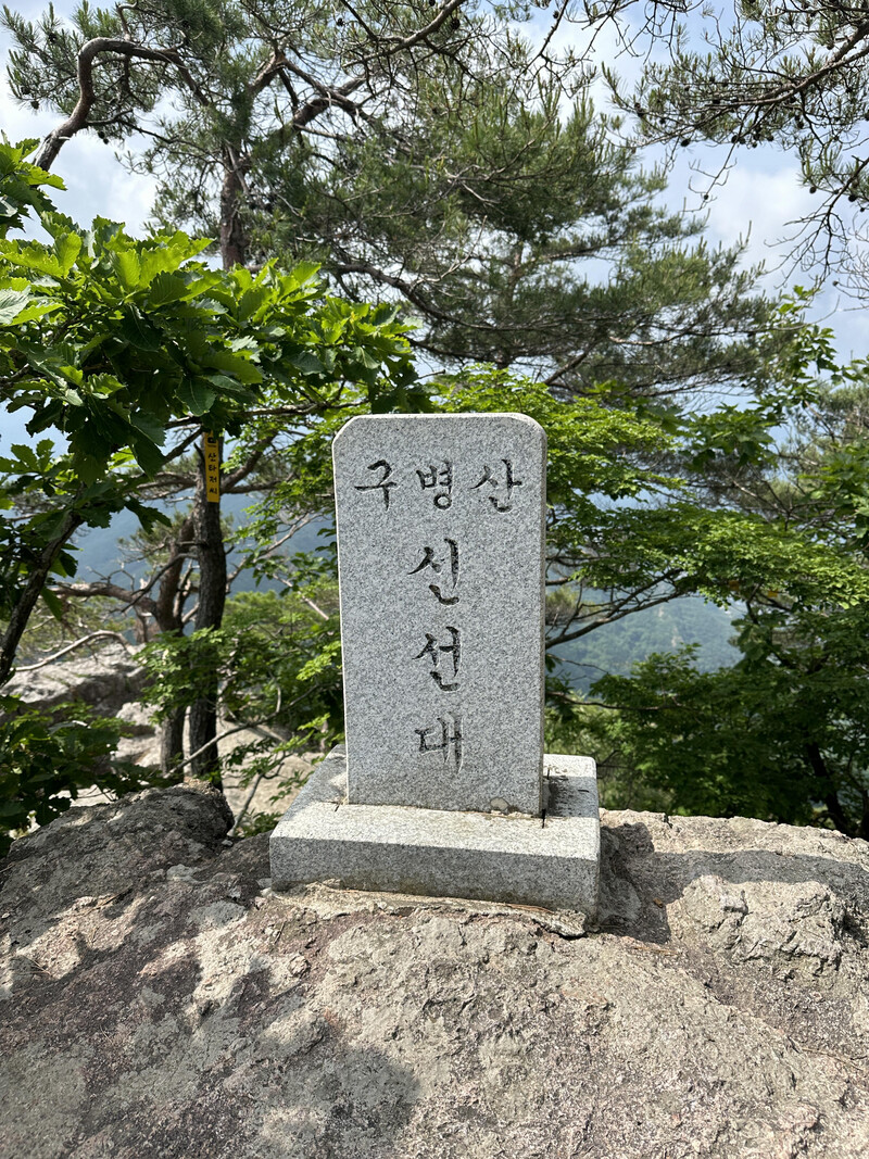 소식