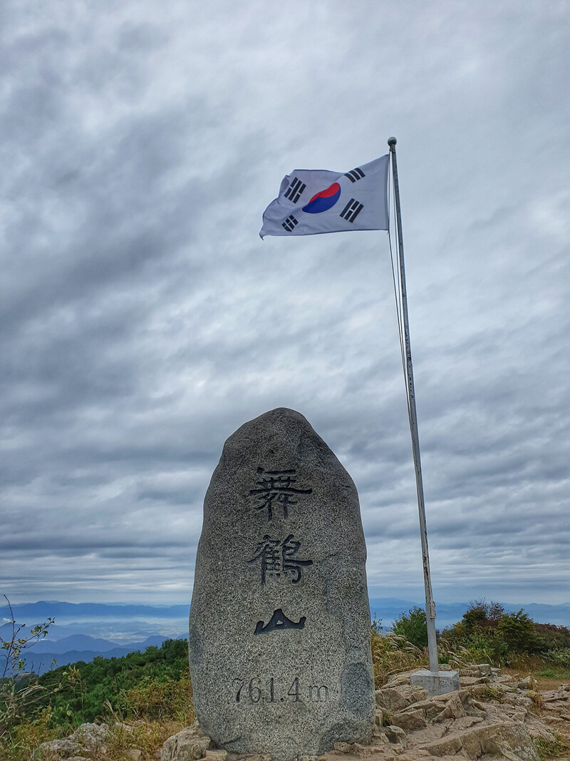 소식