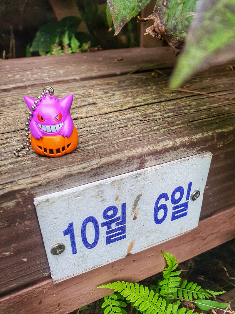 소식