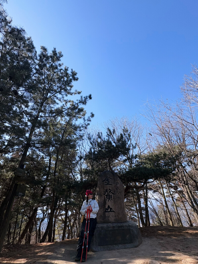 소식
