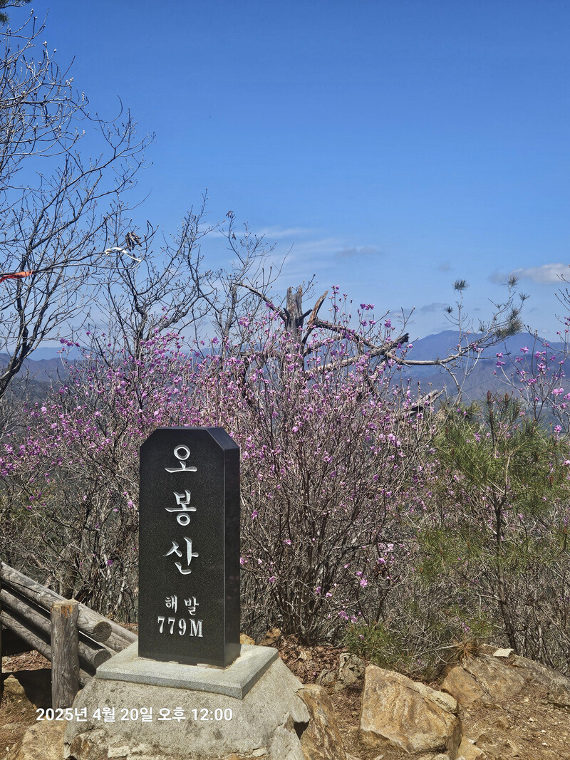 소식