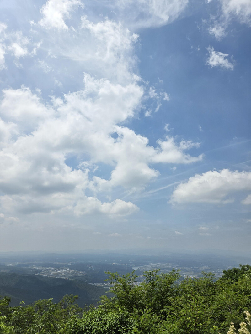 소식