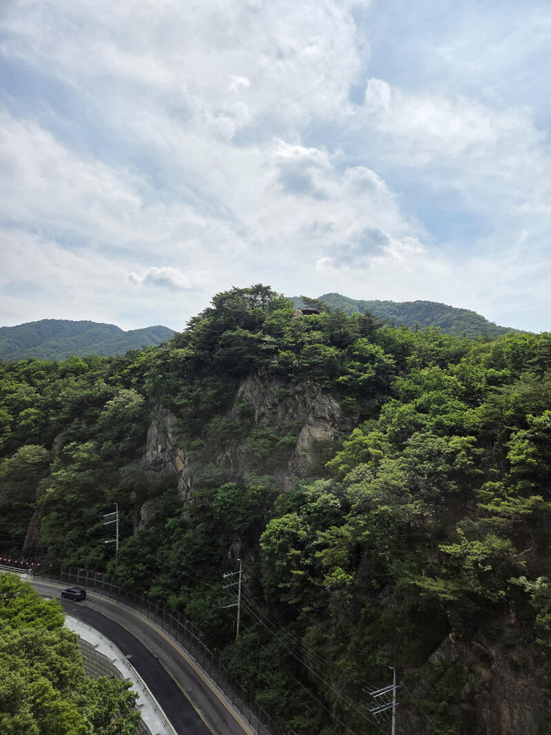 소식