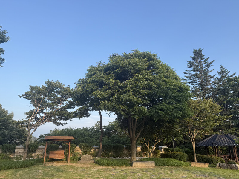 소식