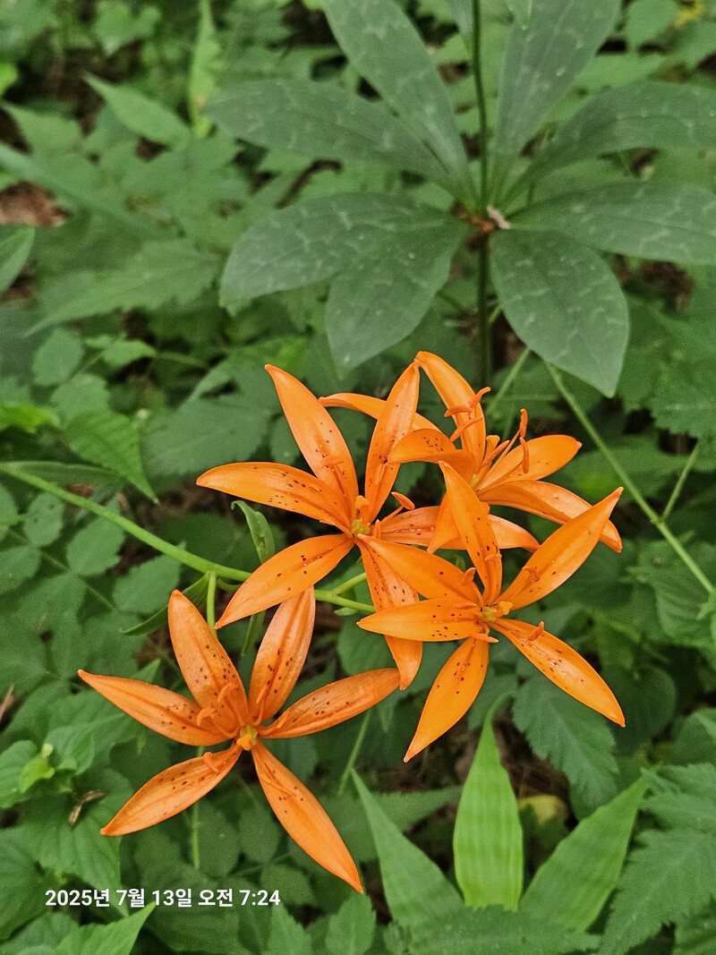 소식