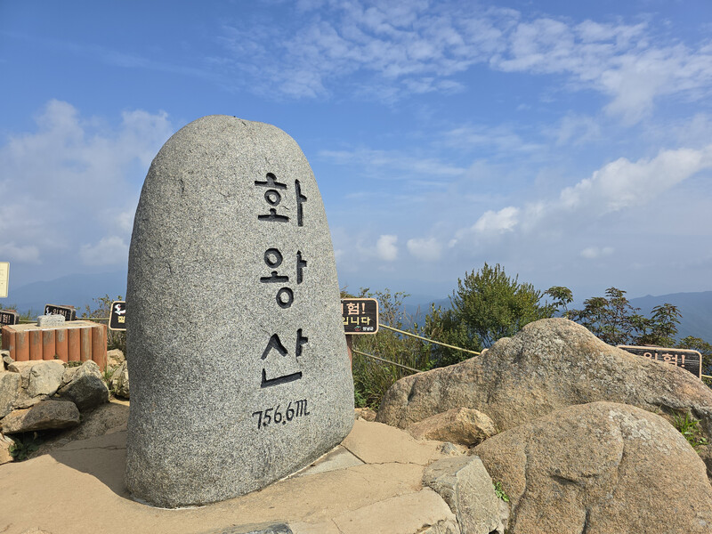 소식