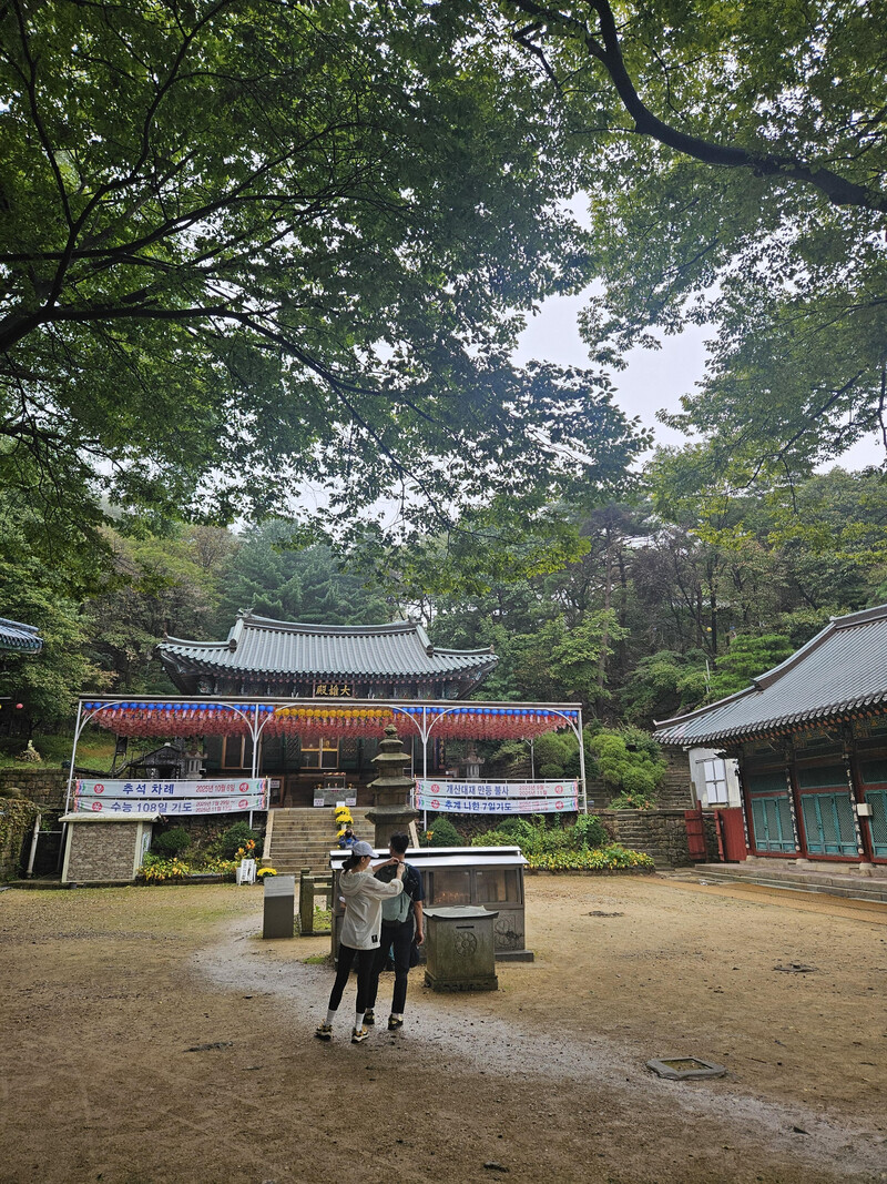 소식