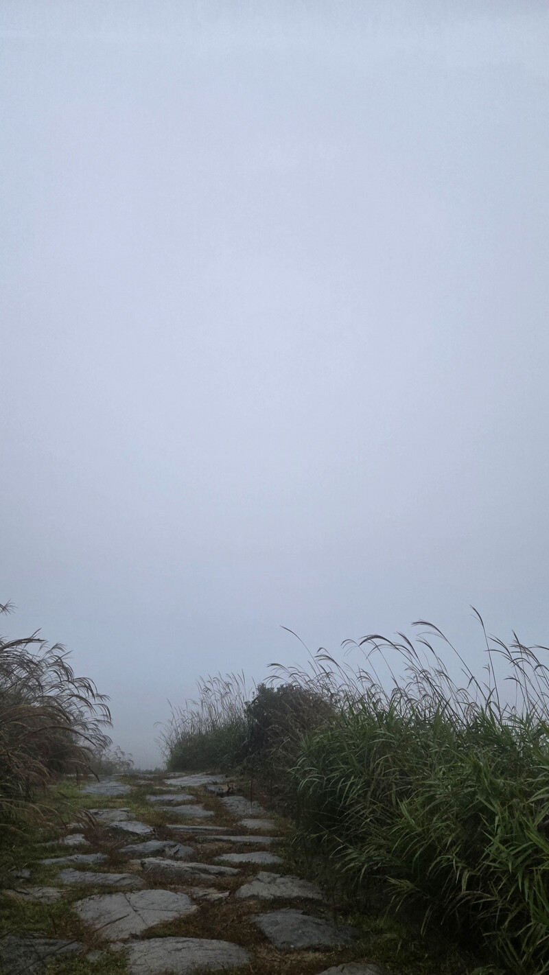 소식