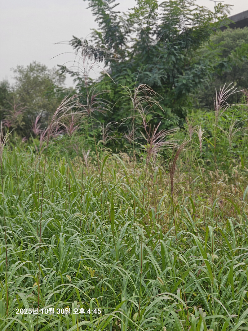 소식