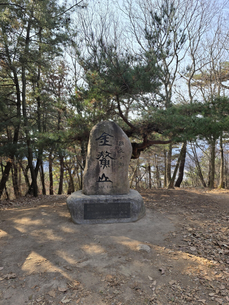 소식
