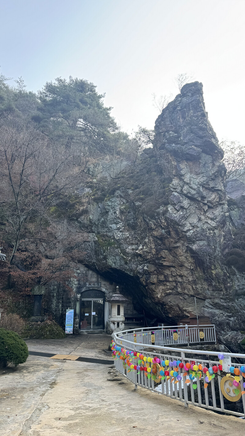 소식