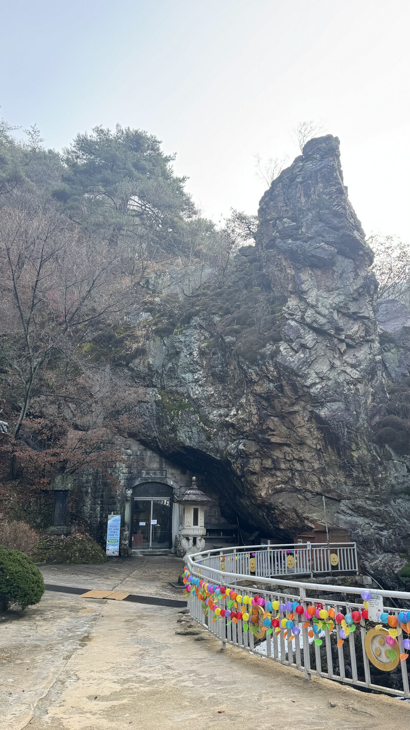 소식