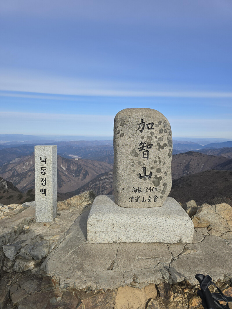 소식
