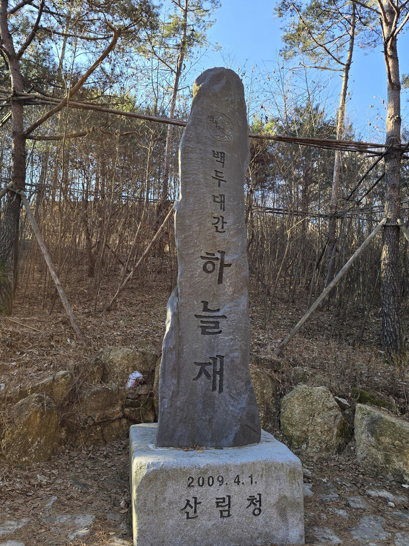 소식