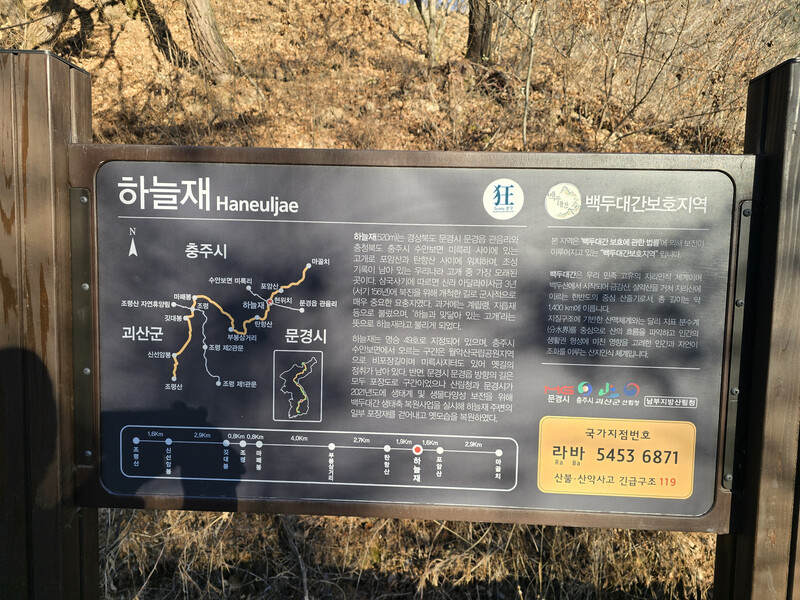 소식