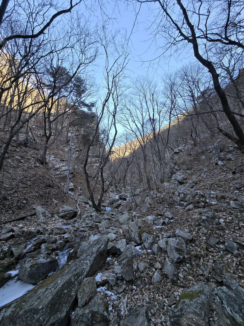 소식