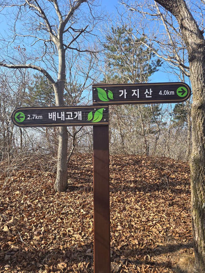 소식