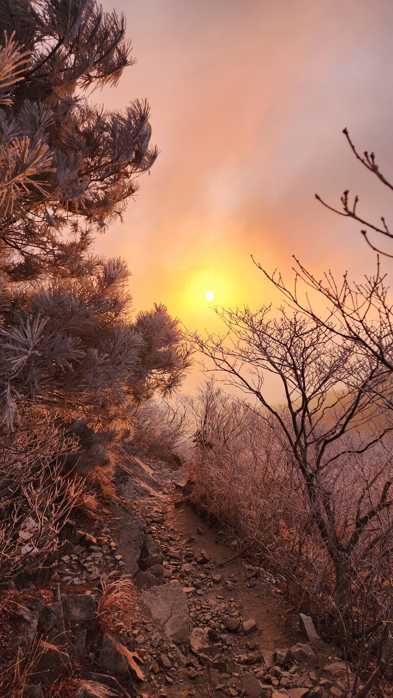 소식