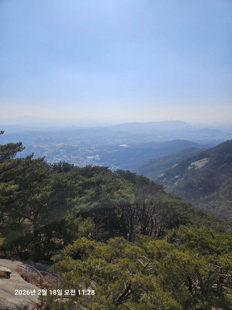 소식