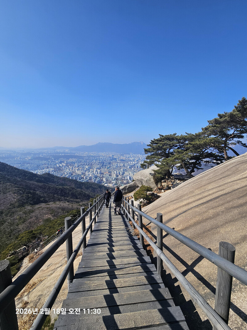 소식