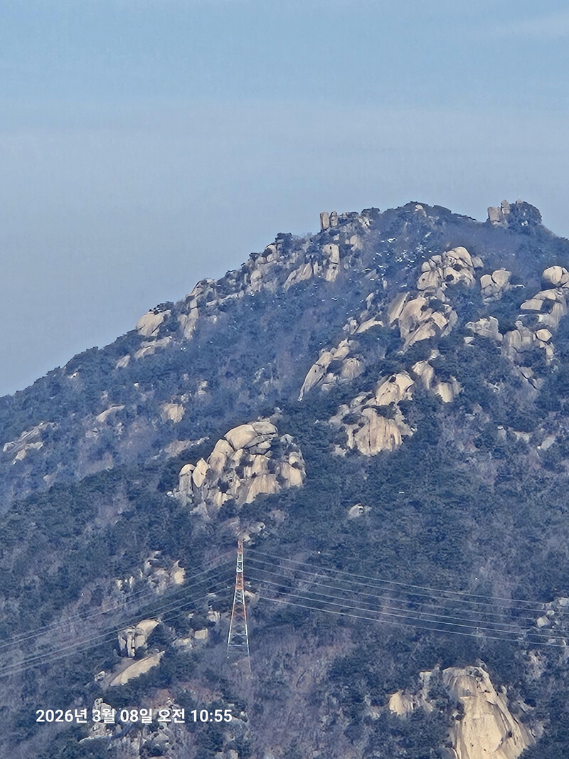 소식