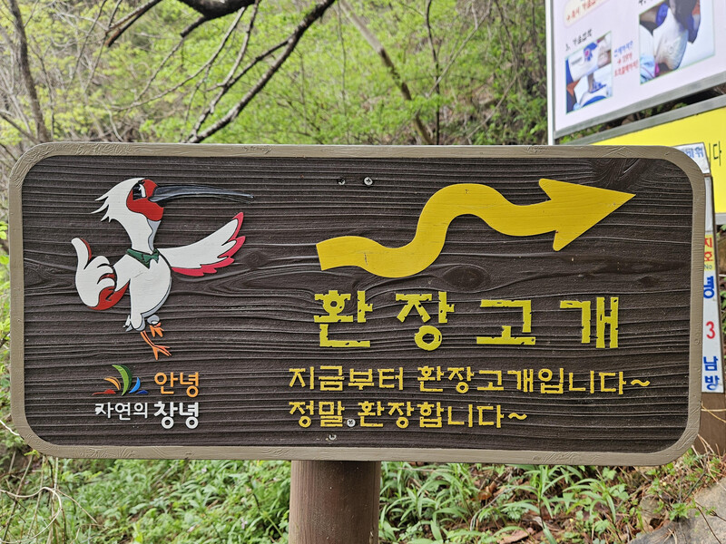 소식