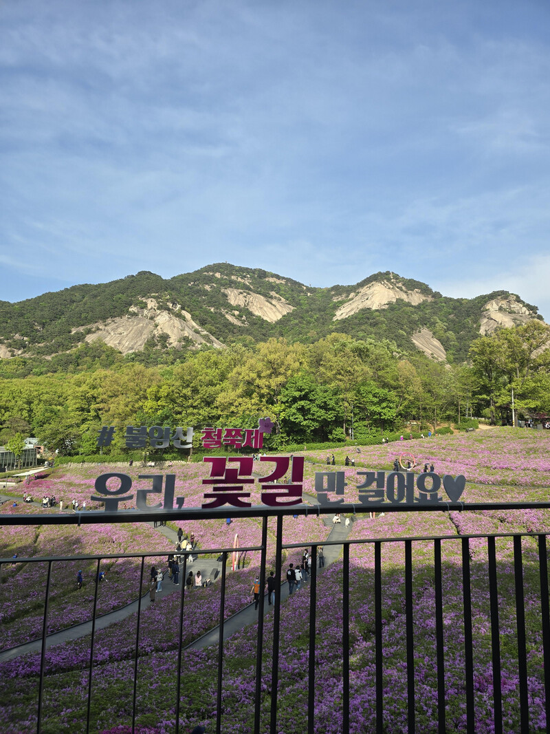소식