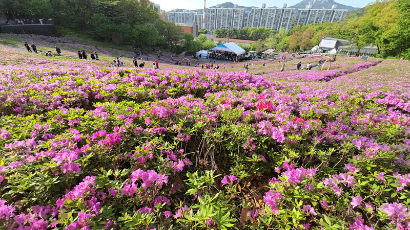 소식
