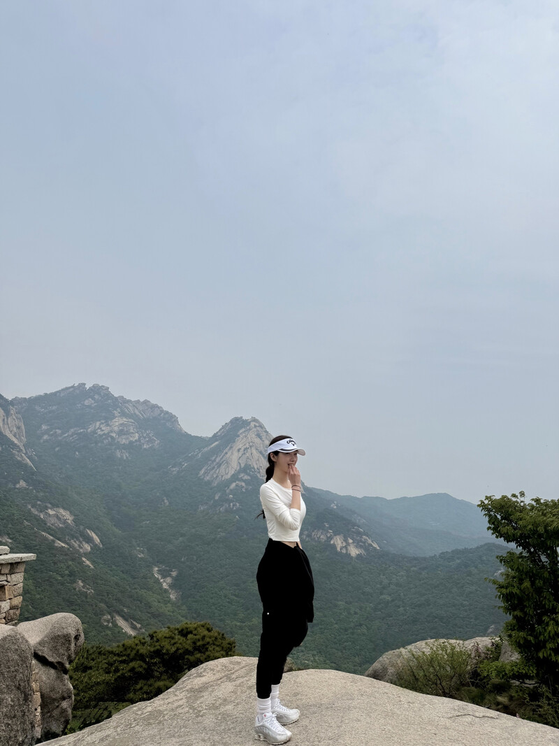 소식