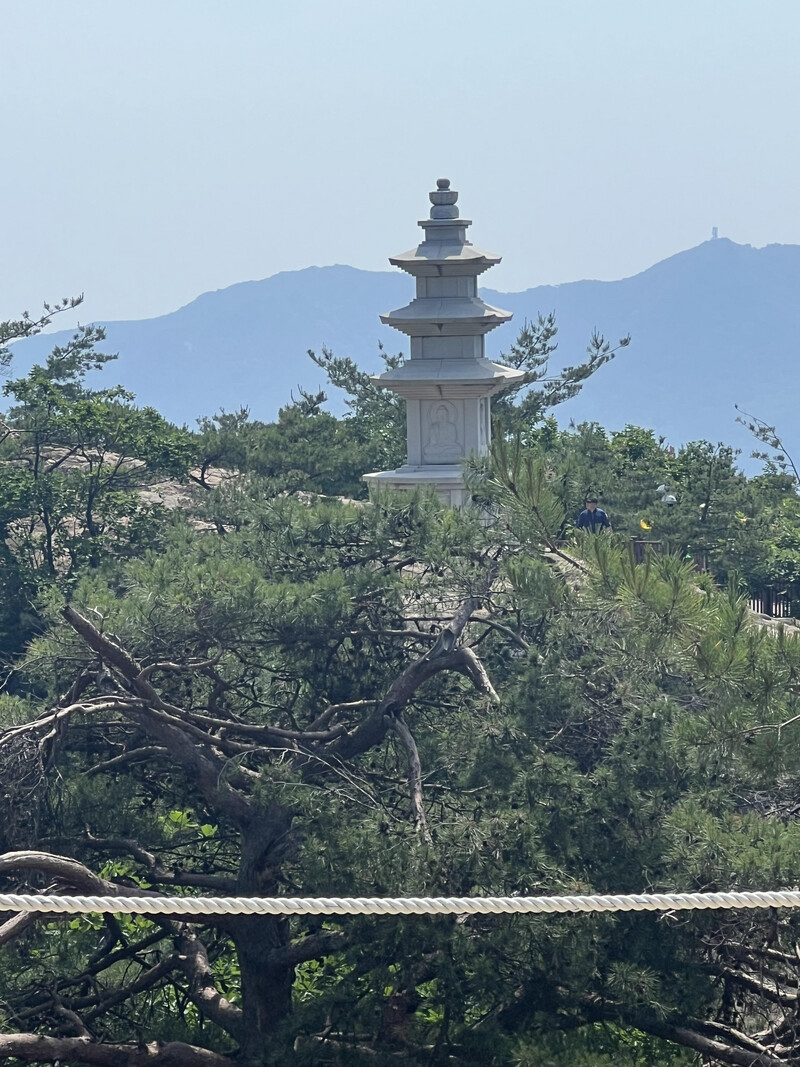 소식